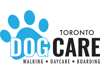 Toronto Dog Care
